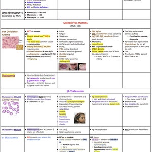 All About Anemia Chart Notes Hematology - Etsy