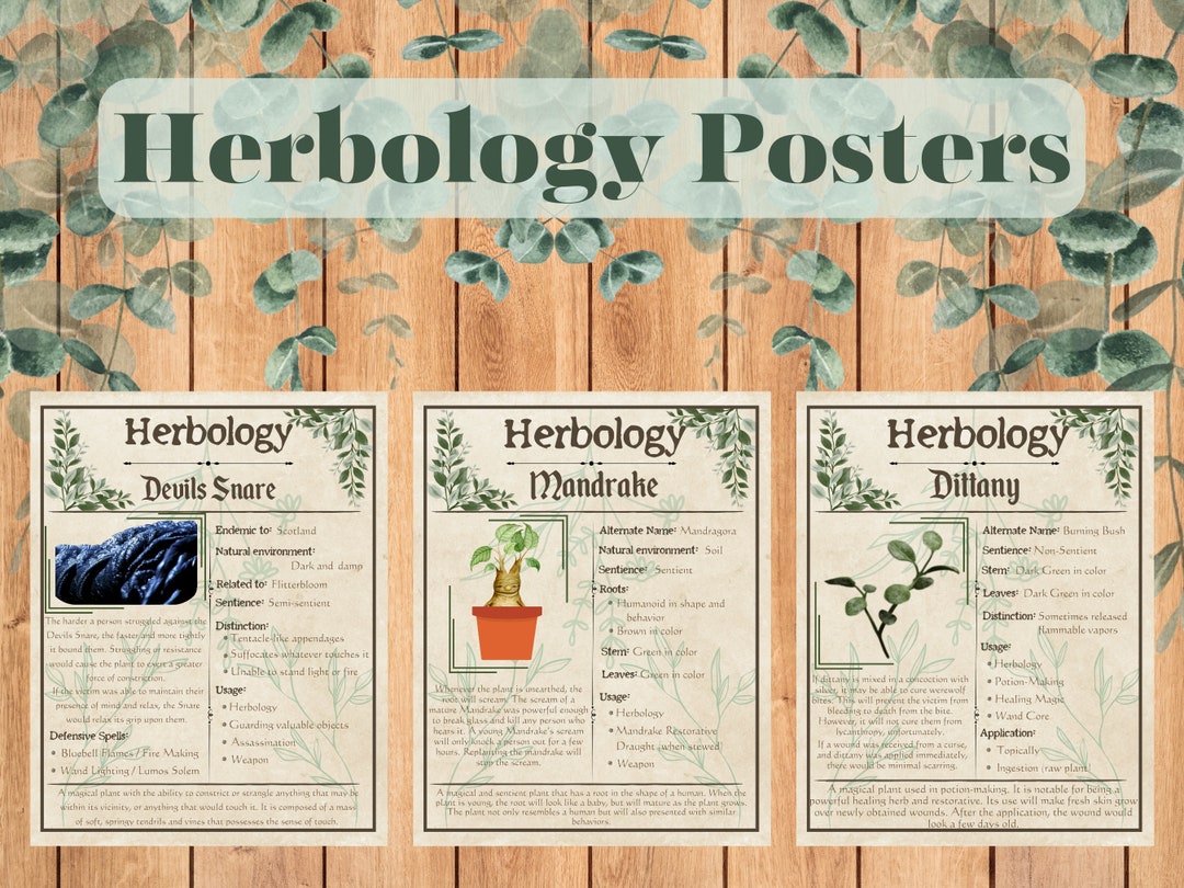 Herbology Chart Series 1 // Instant Download // Printable - Etsy