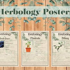 Herbology Chart Series 1 // Instant Download // Printable