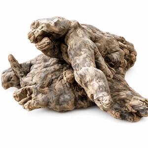 Chunky Cholla Root #5