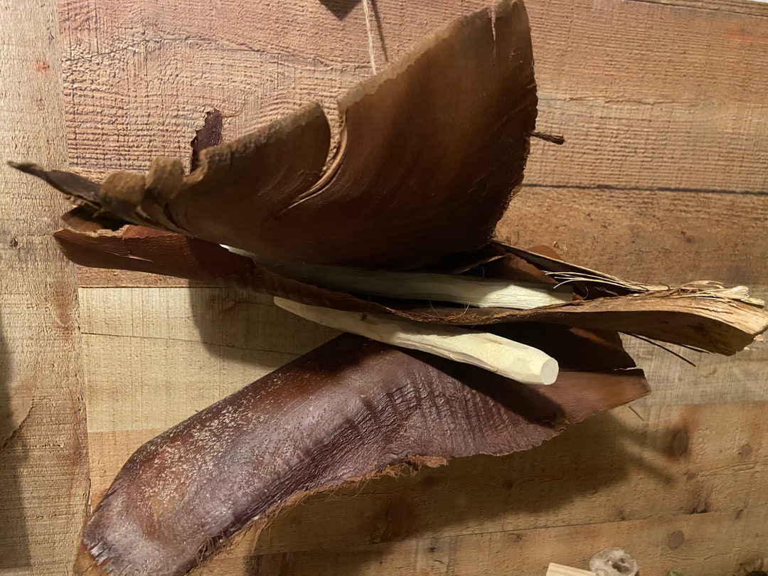 Big Time Fun Yucca & Palm Toy Awesome for Parrots Etsy