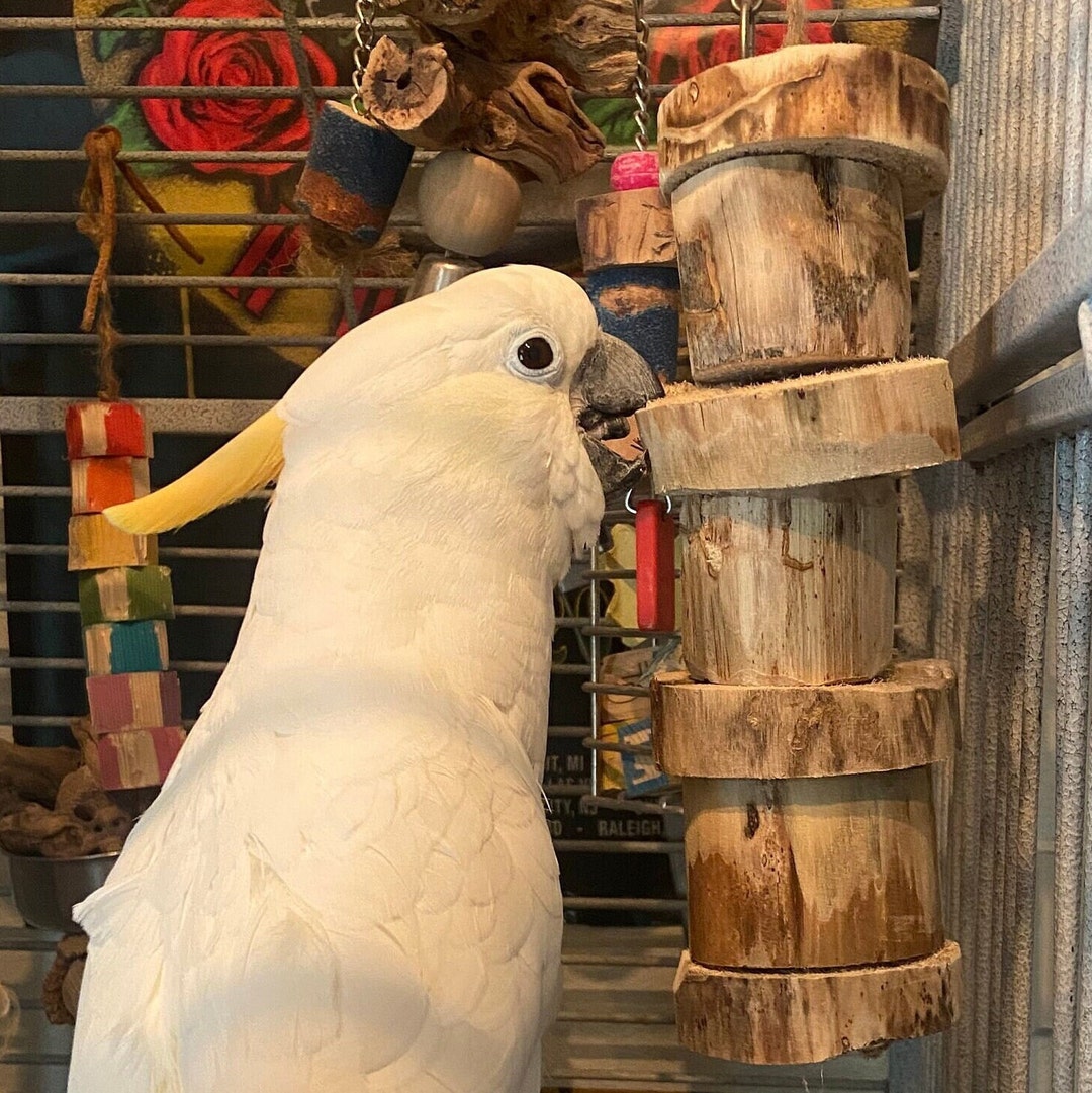 Large Shreditall Yucca Toy Awesome for Parrots Etsy