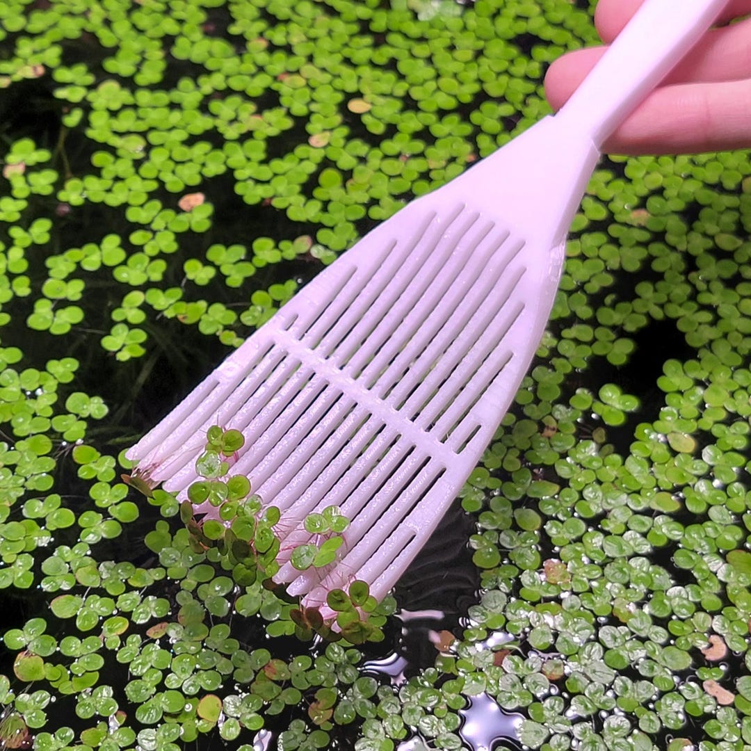Duckweed + Floating Plant Rake/scooper/pick Tool V2 | Easy Duckweed ...