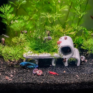 May include: A white ceramic aquarium hideout with a tunnel structure, topped with vibrant green aquatic moss. A blue betta fish swims nearby on dark substrate, accompanied by a bright red shrimp and several small, spiraled, light-colored snails.