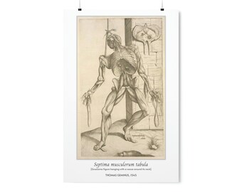 Gruesome Hanging Figure Poster | Vintage Human Anatomy Wall Decor | Premium Matte Vertical Posters