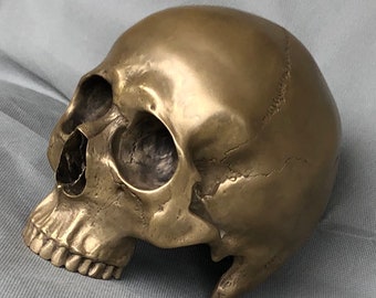 Skull, bronze cold-cast. SKULL SALE !!!!!!!