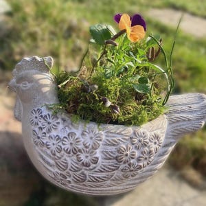 Frische Frühlingsdeko Stein Blumentopf Huhn in 2 Größen 21 cm oder 26 cm von Clayre & Eef mit Pflanze und Moos