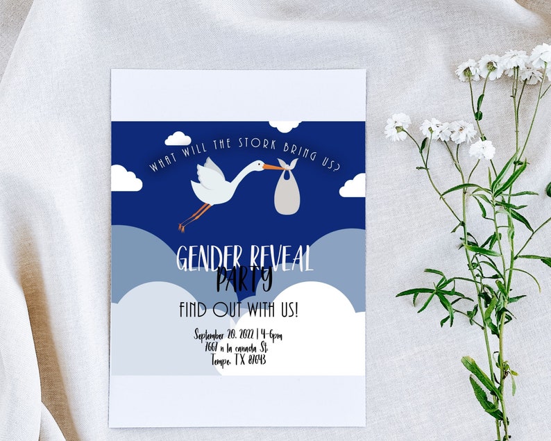 Gender Reveal Invitation Stork Invitation Boy or Girl Reveal Etsy