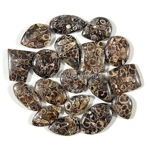 Turritella Agate! Wholesale Price Top Grade Turritella Agate Mix Shapes - loose Turritella Agate Cabs- Natural Turritella for Making Jewelry