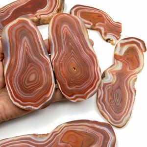 May include: A collection of polished agate slices, showcasing concentric patterns in shades of red, brown, and white. The natural stone pieces vary in shape and size, with visible layers and a smooth, glossy finish. The agate slices are displayed against a white background.