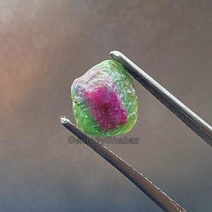 Op de afbeelding: Een ruwe, ongeslepen edelsteen vastgehouden door een metalen pincet, met een levendige, doorschijnende groene buitenlaag rondom een diepe, verzadigde magenta-roze kern. De steen heeft een onregelmatige, afgeronde vorm met een textuur. GemsByShabaz.