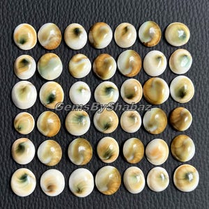 Pode incluir: Uma coleção de pedras preciosas ovais com base branca cremosa e padrões em espiral em tons de castanho, bege e verde. As pedras preciosas estão dispostas numa superfície escura. O texto "GemsByShabaz" é visível.