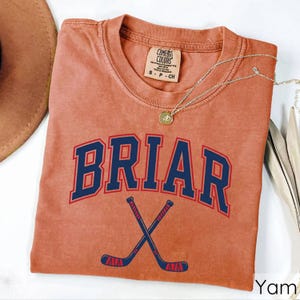Comfort Colors Briar University Shirt, Romance Book T-Shirt, Gift For Fans, Campus Hockey T-Shirt, Booktok Girl Shirt image 4
