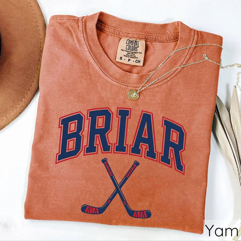 Comfort Colors Briar University Shirt, Romance Book T-Shirt, Gift For Fans, Campus Hockey T-Shirt, Booktok Girl Shirt image 4