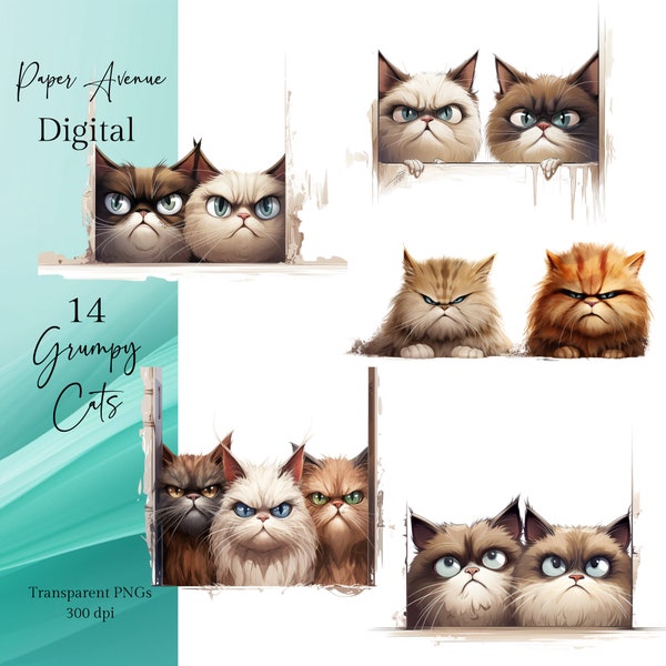 Grumpy cats Clip Art Cats clip art Grumpy cats cartoon clipart Cute cats PNG Funny Cats Clip Art, Cute Animals PNG, Cute Cats Commercial use