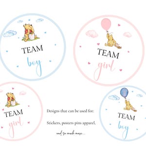 Team Boy Team Girl druckbare Aufkleber Winnie the Pooh Gender Reveal Tags Werfen Sie Ihre Stimme, Blau und Pink Winnie the Pooh Gender Reveal Idee
