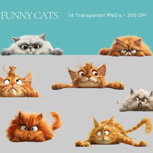 Clipart chats drôles, clipart chats mignons, drôle de chat PNG drôle de chat clipart, clipart animaux drôles animaux drôles T Shirt designs chats drôles tasses