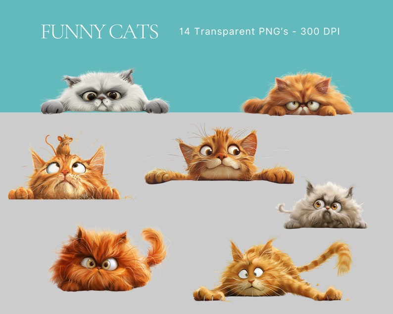 May include: A set of 14 digital illustrations of funny cats in various poses. The cats are drawn in a cartoon style and have expressive faces. The illustrations are perfect for use in digital projects, such as social media posts, websites, and presentations.
