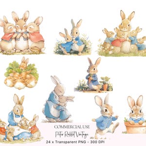 Imágenes prediseñadas de Peter Rabbit, imágenes prediseñadas de estilo Beatrix Potter, imágenes prediseñadas de conejito, Peter Rabbit PNG, decoupage, decoración de guardería, baby shower, fabricación de tarjetas, manualidades de papel