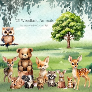25 animaux des bois design PNG Mignons animaux des bois PNG renard png animaux de la forêt png ours cerf design sublimation des bois animaux de la forêt PNG