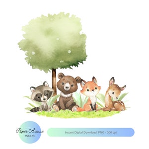 Waldtiere Sublimation, Waldtiere Rahmen, Babyparty, Geburtstagseinladung, Kinderzimmer Dekor png, Waldtiere PNG, Tiere PNG