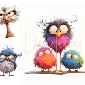 Clipart oiseaux originaux 14 haute résolution aquarelle JPGS journalisation indésirable, scrapbooking, fabrication de cartes en téléchargement numérique, drôles d'oiseaux, oiseaux lunatiques