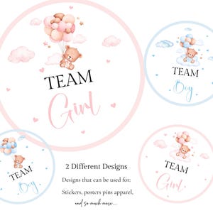 Pegatinas imprimibles del equipo chico y del equipo chica Etiquetas para revelar el género del osito de peluche Emite tu voto Idea para revelar el género del osito de peluche azul y rosa PNG