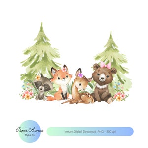 Waldtiere PNG Mädchen, niedliche Waldtiere PNG niedliche Waldtiere PNG , Waldtiere PNG, niedliche Tiere png