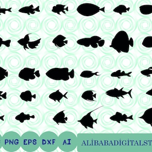 Pacote SVG de peixe, SVG de peixe, vetor de peixe, Svg de peixe tropical, silhueta de peixe, clipart de peixe, arquivos de corte de peixe para Cricut