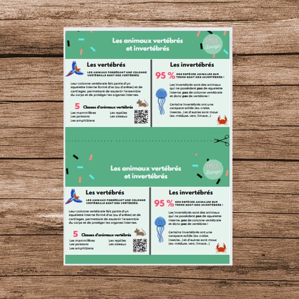 Summary sheet Vertebrates/Invertebrates