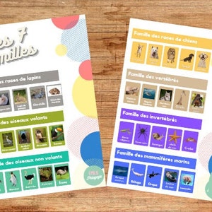 Jeu de 7 familles Monde animal
