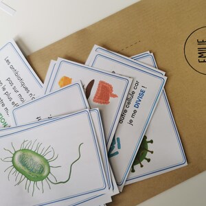 Jeu de cartes : Bactérie VS Virus !