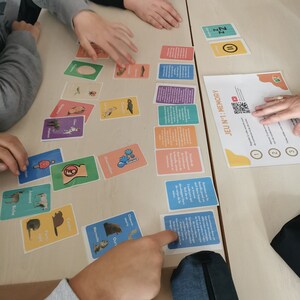 Jeu de cartes - Cycle de vie des animaux