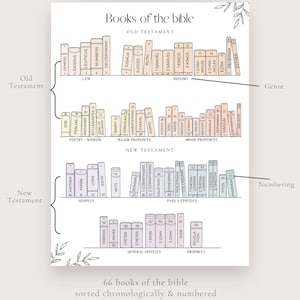 May include: A chart displaying the 66 books of the Bible, arranged chronologically and numbered. The books are categorised by genre, including Law, Poetry/Wisdom, Major Prophets, Minor Prophets, Gospels, Paul's Epistles, General Epistles, and Prophecy. The chart is illustrated with small book icons.