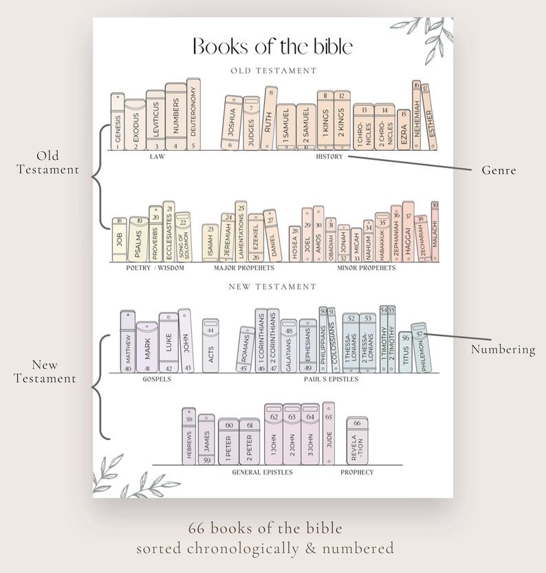 May include: A chart displaying the 66 books of the Bible, arranged chronologically and numbered. The books are categorised by genre, including Law, Poetry/Wisdom, Major Prophets, Minor Prophets, Gospels, Paul's Epistles, General Epistles, and Prophecy. The chart is illustrated with small book icons.