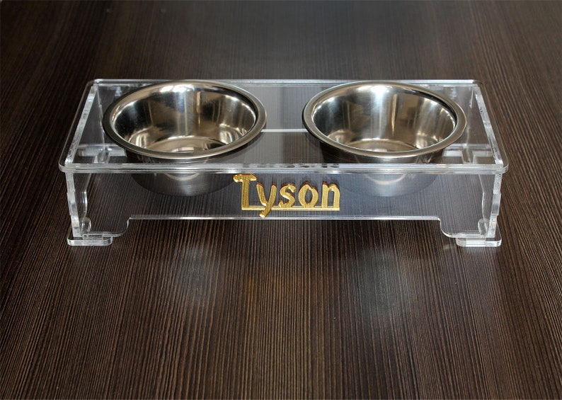 Personalized Acrylic Dog Bowl Stand Modern Acrylic Elevated Etsy