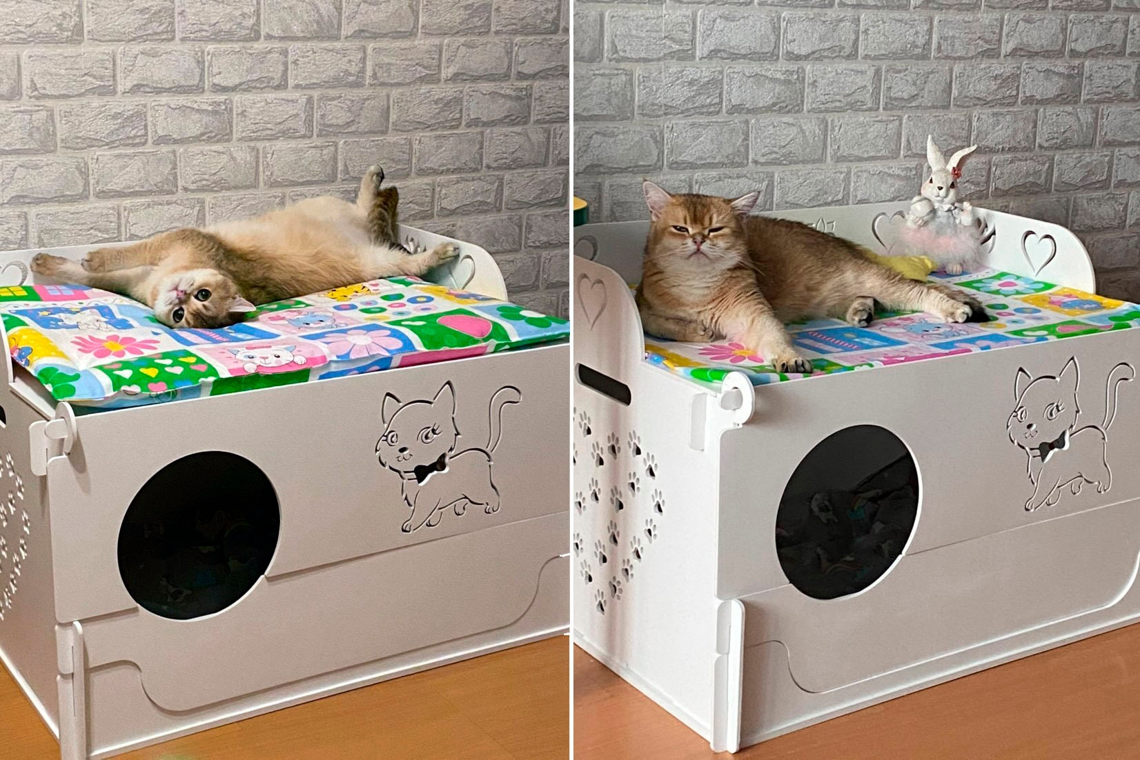 Wooden Modular Whelping Nesting Cat Birthing Box With Hole, Pregnant