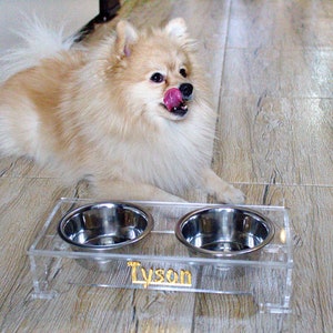 Onewell Pet Bowls for Cats and Small Dogs, Bamboo Elevated Food