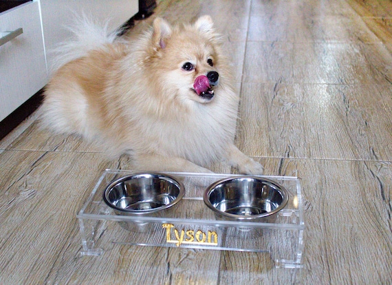 Acrylic Elevated Dog Cat Bowls Pet Feeder Double Bowl Raised Stand