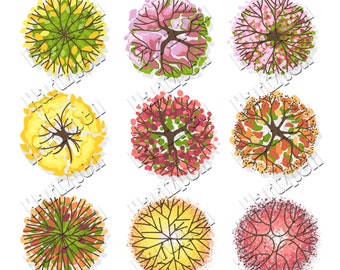 Tree Plan View Templates: PNG Landscape Design Elements (Digital Download)