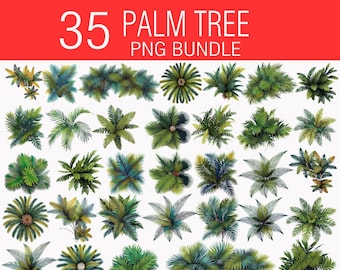 Palm Tree PNG Stamps: Landscape Design Clipart (Digital Download)