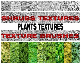 Pode incluir: Uma coleção de texturas de plantas verdes, amarelas e marrons. A imagem inclui o texto "Shrubs Textures", "Plants Textures" e "Texture Brushes".