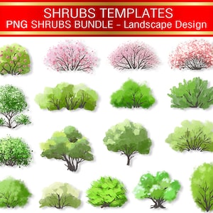 Aquarell Gebüsch Clipart: Landschaft Pflanzen Illustrationen (PNG)