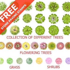 Landscape Design Tree Plan & Grass Textures PNG | Digital Stamps for Architecture and Garden Design