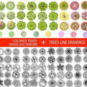 Landscape Tree Plan View, Tree stamps, Landscape tree Symbols, Landscape design templates, Custom brush,  Architectural symbol, Digital Tree