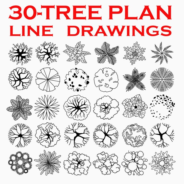 Tree plan view PNG, Tree top view symbol, Tree plan PNG images, Landscape design templates, Line drawing,  Landscape Architecture