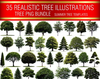 Summer Tree Clipart Bundle | PNG Illustrations for Landscape & Garden Design (Digital Download)