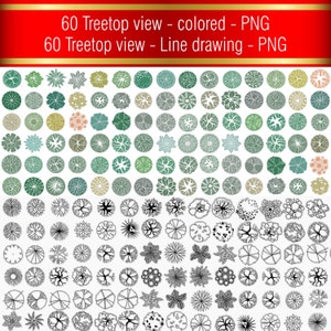 Landschaft Baum Ansicht von oben PNG Bündel | Architektur Symbole, Procreate & Photoshop Stempel