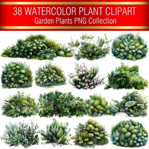Aquarell Sträucher & Büsche Clipart | Gartenpflanzen PNG Illustrationen (Instant Digital Download)