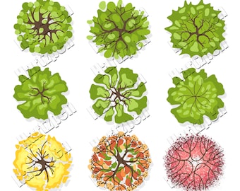 Tree Plan View PNG, Landscape Design (Digital Download)